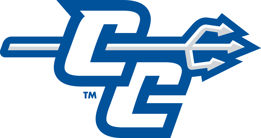 Central Connecticut Blue Devils 2011-Pres Alternate Logo 03 vinyl decal